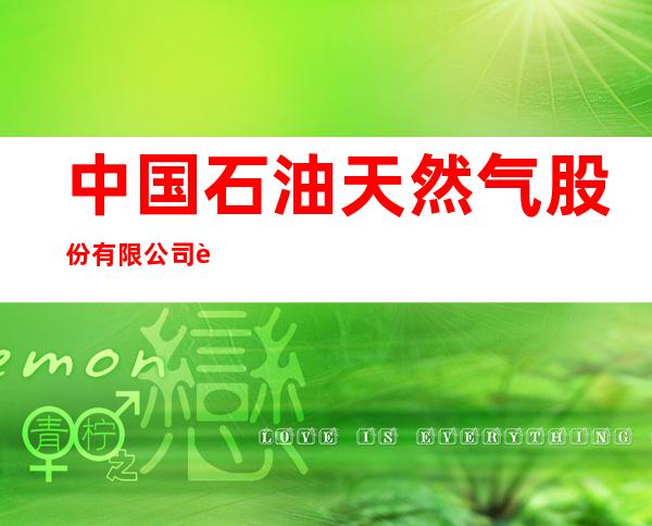 中国石油天然气股份有限公司西藏日喀则销售分公司谢通门县加油站