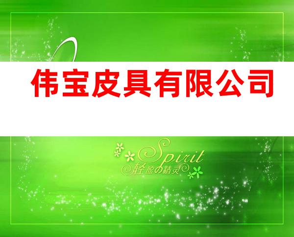 伟宝皮具有限公司